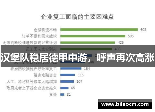 汉堡队稳居德甲中游，呼声再次高涨