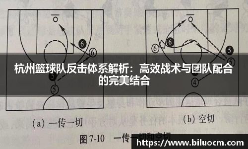 三亿体育官网入口
