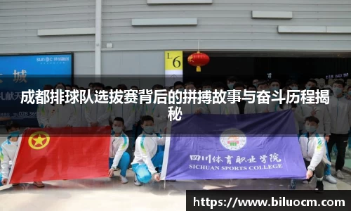成都排球队选拔赛背后的拼搏故事与奋斗历程揭秘